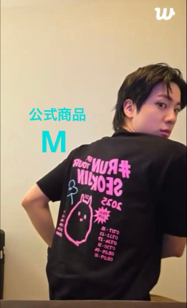 公式 RUNSEOKJIN_EP.TOUR ツアーTシャツ ジン BTS JIN