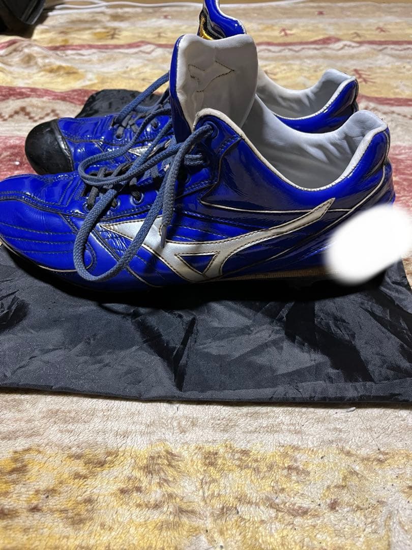 ミズノプロ プロ野球選手実使用