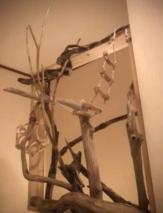 【No22】　ペット　小鳥用　流木　箱庭　とまり木　バードアスレチック