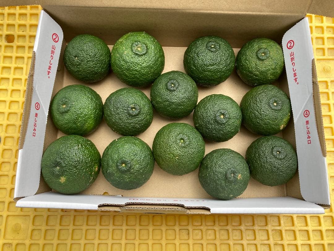 完全無農薬　青ゆず　青柚子　箱込み10kg弱