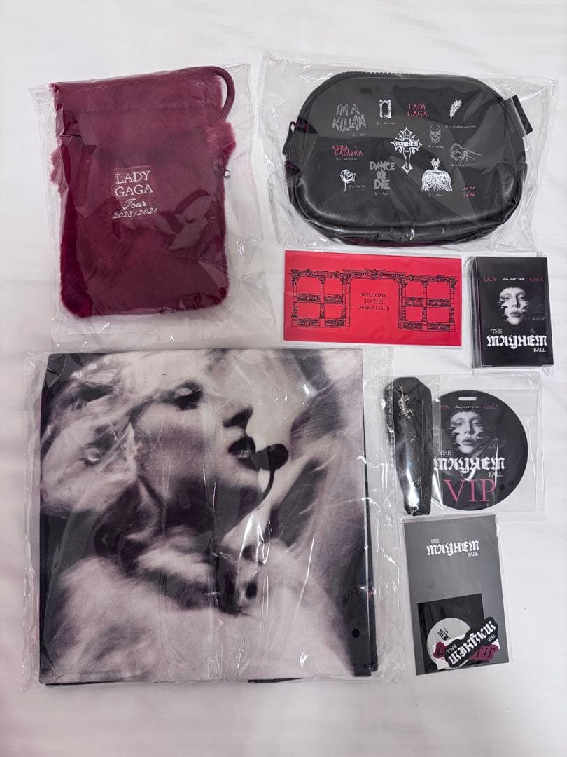 LADY GAGA VIP GOLD グッズ フルセット ゴールド　レディーガガ