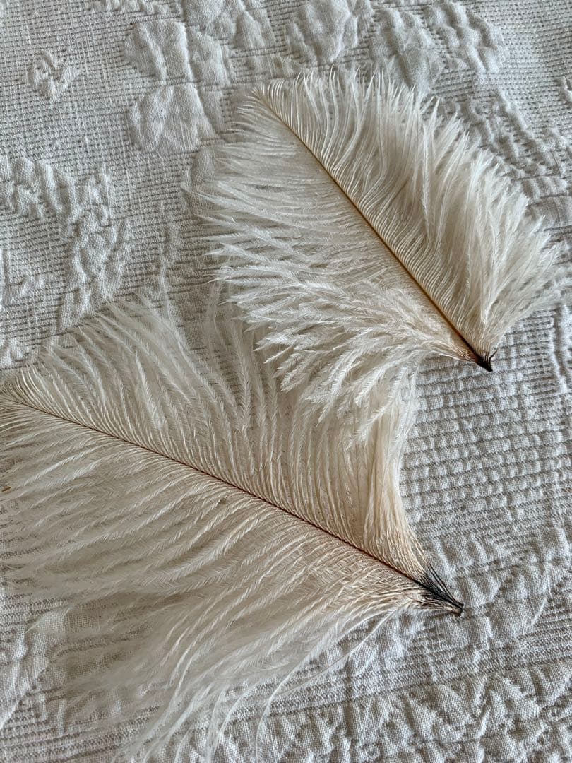 フランスビンテージ/アンティークパニエ＆スノーベビー＆Hertwigビスクドール