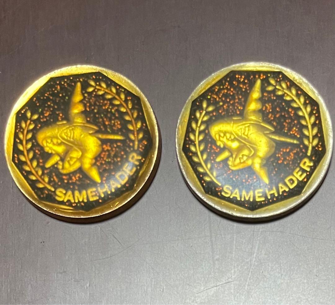 ポケモン  メダル 温感 アドバンスジェネレーション 他