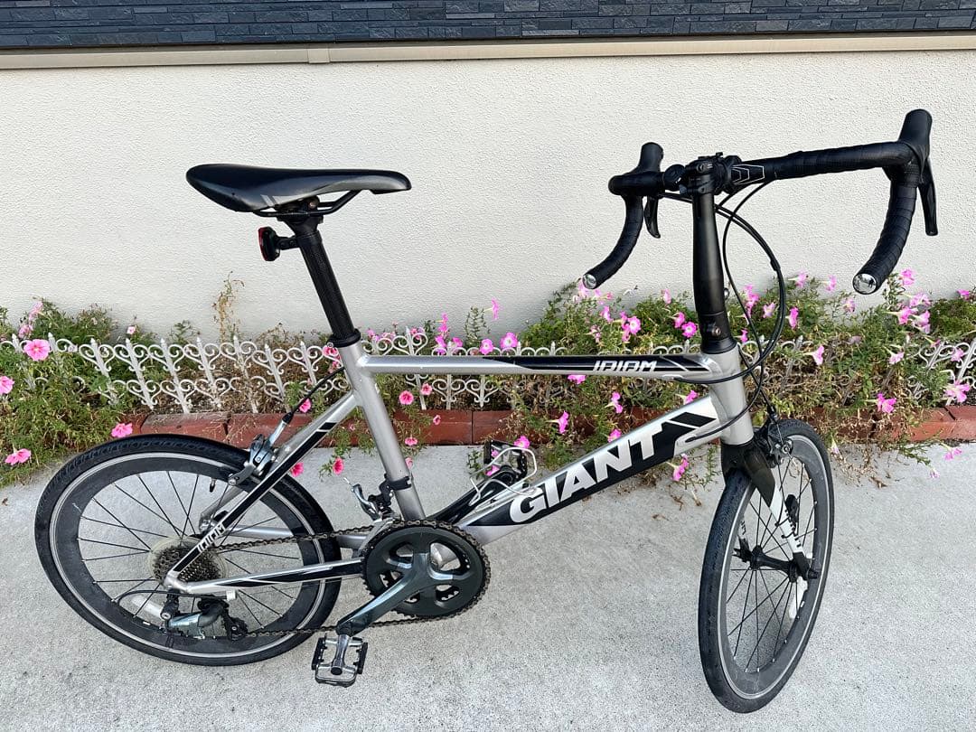 giant idiom0 年末セール‼️