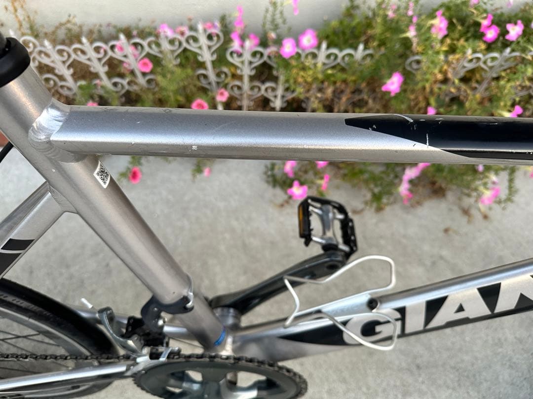 giant idiom0 年末セール‼️