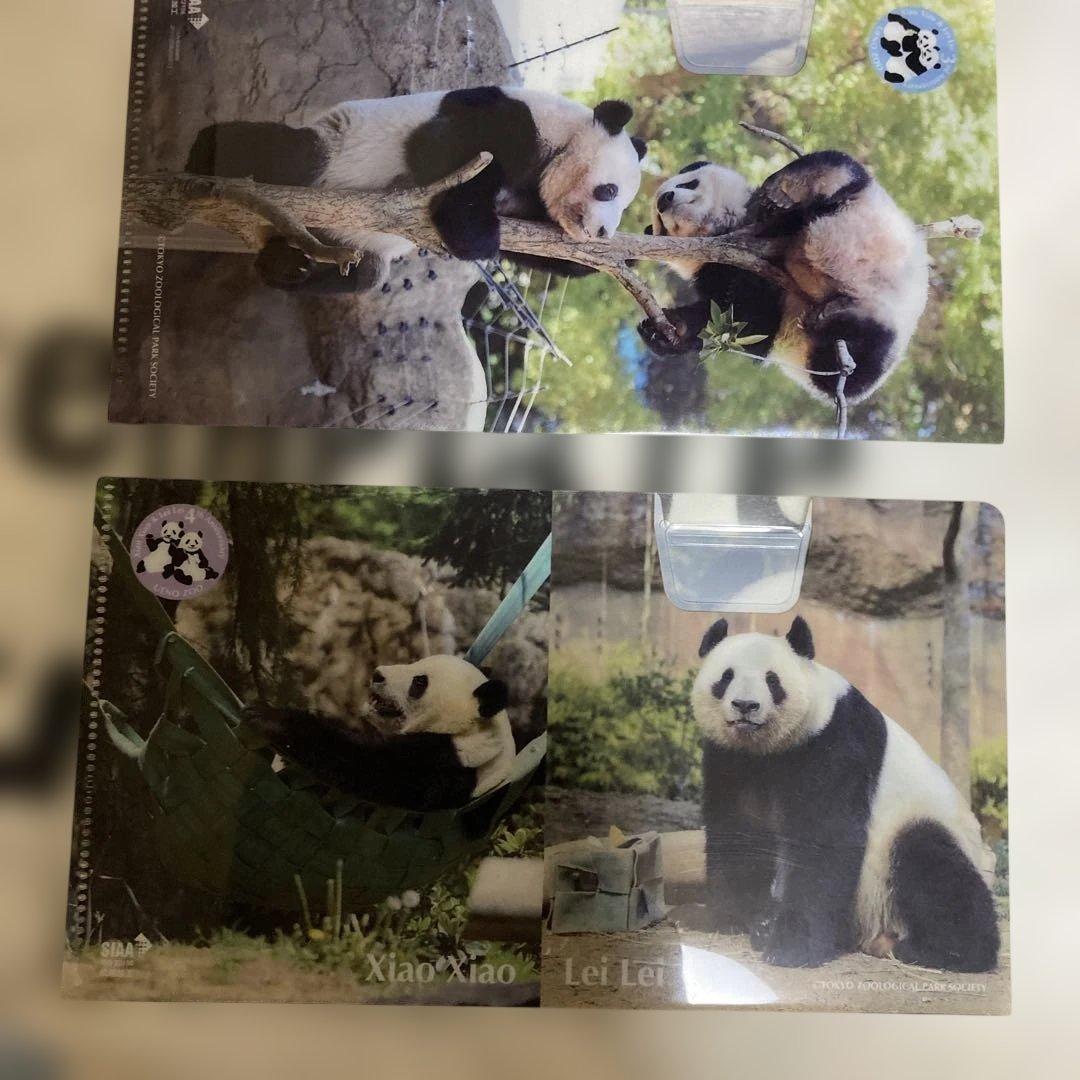 シャオシャオレイレイ　パンダセット売り