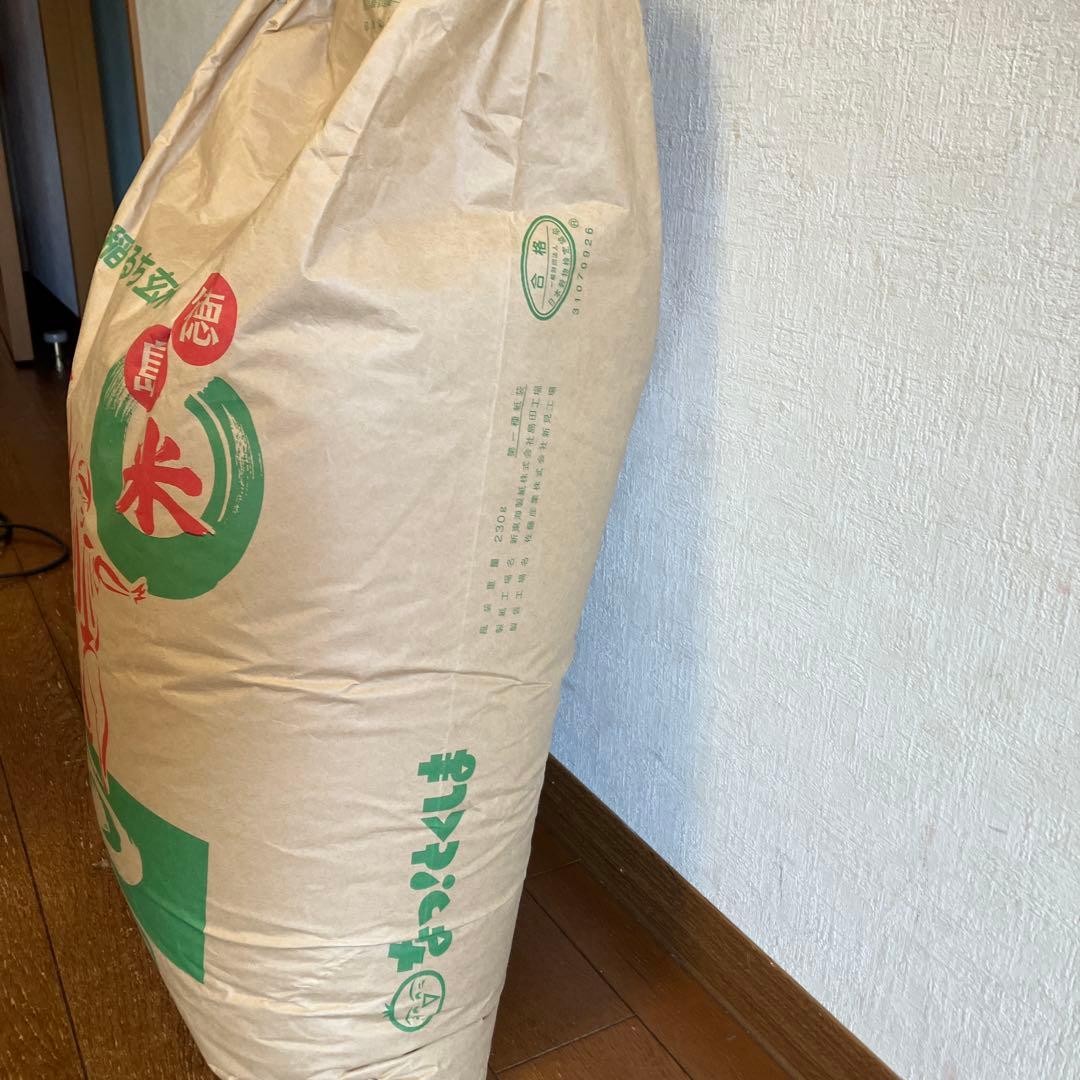 うるち玄米 30kg 徳島県産