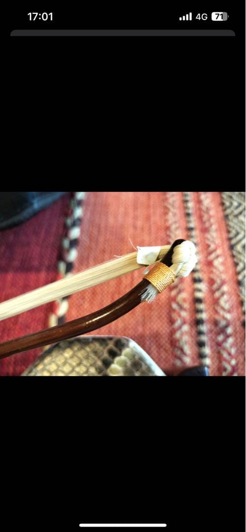 付属品充実！二胡本体と一式 ケース・教本DVD付き