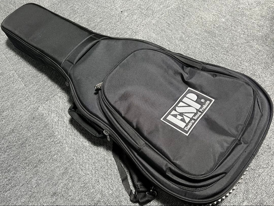 値下げ】ESP SNAPPER-AS Experimental Series