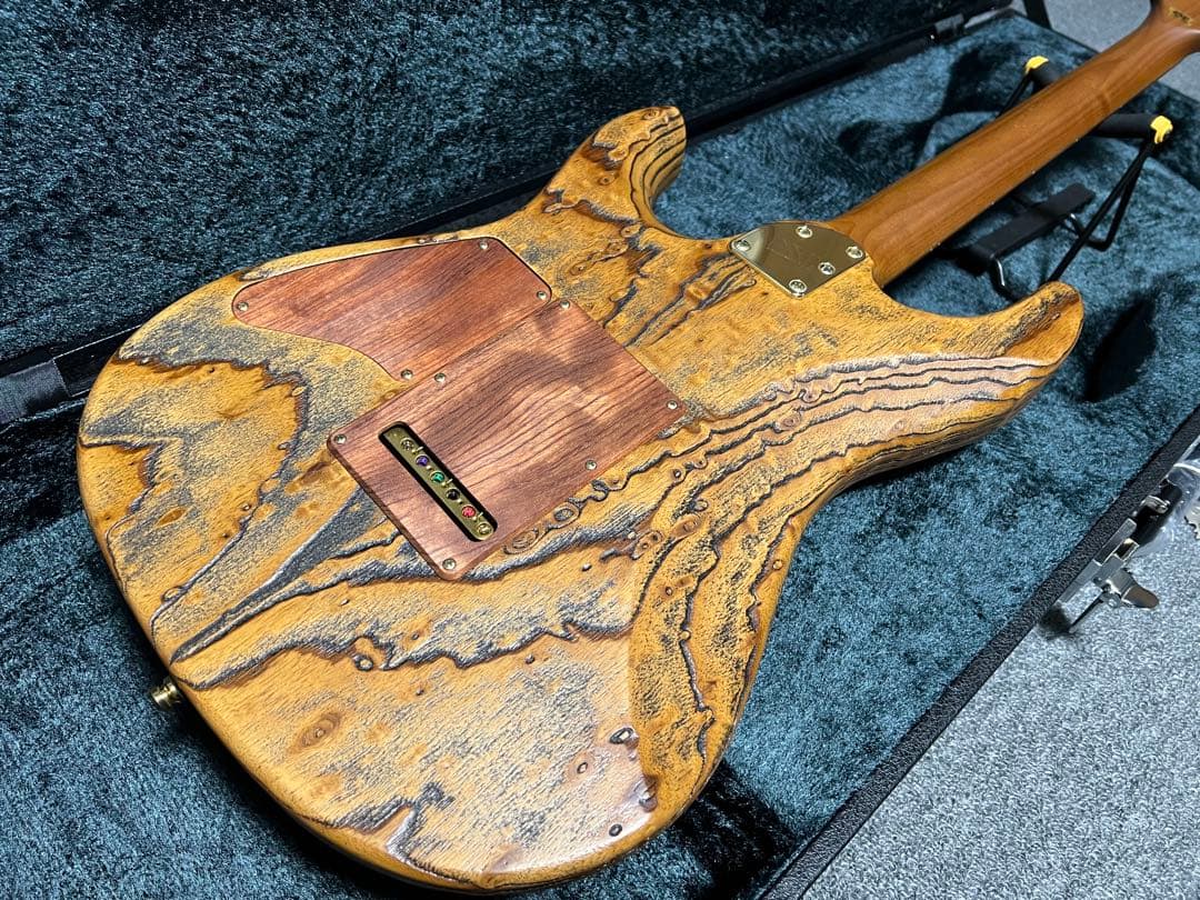 値下げ】ESP SNAPPER-AS Experimental Series