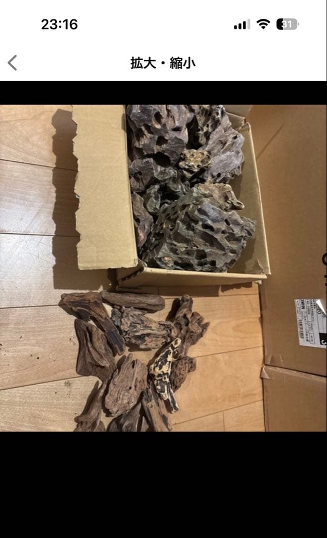 中型 ガラス水槽 フィルター付き アクアテラリウム セット