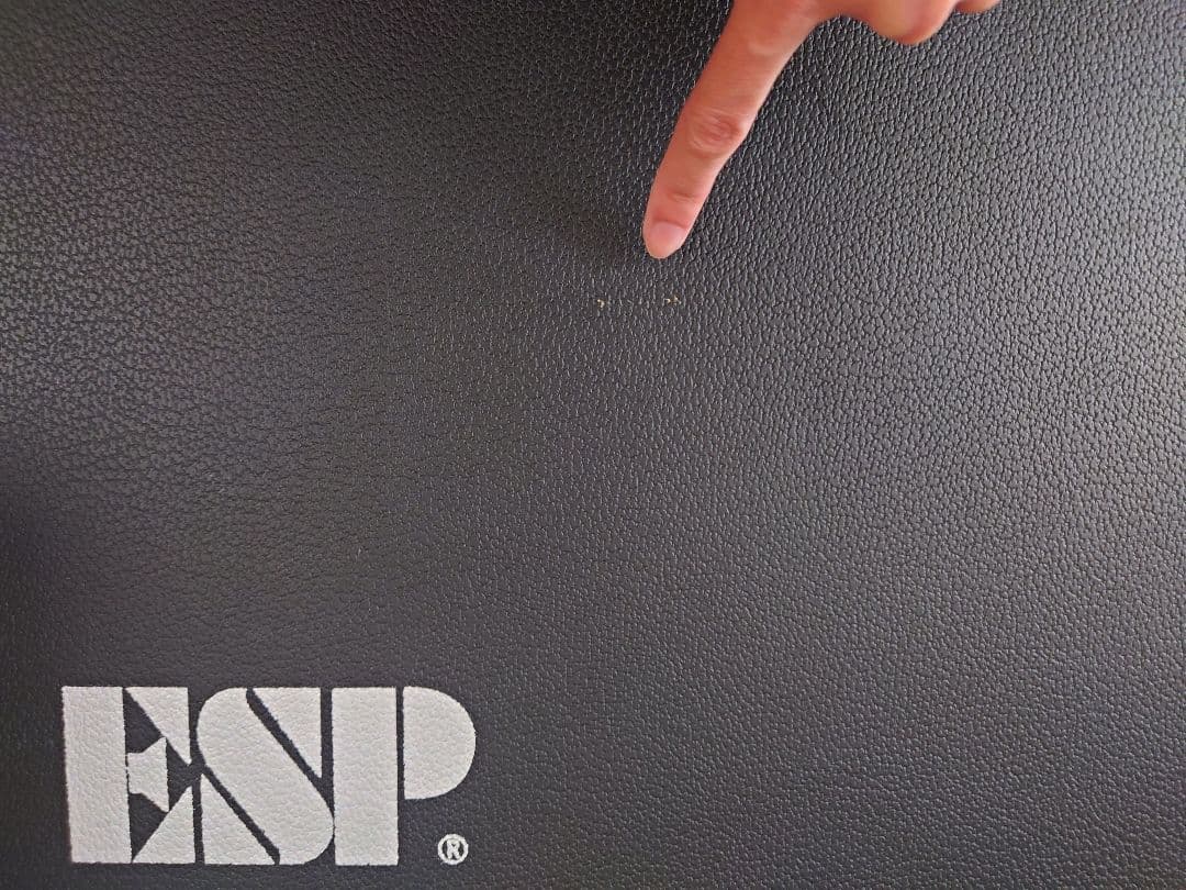 E-II ARROW-7 BABYL 専用ハードケース付属