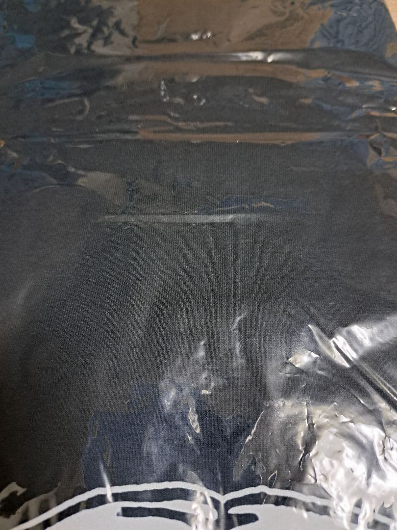 HI-STANDARD STAY GOLD Tシャツ ハイスタ サバシスター