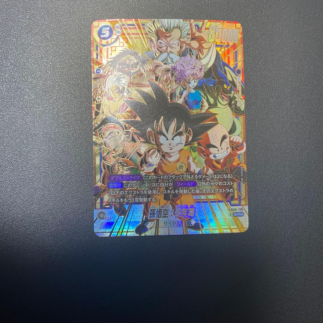 fb06 scr 2枚セット