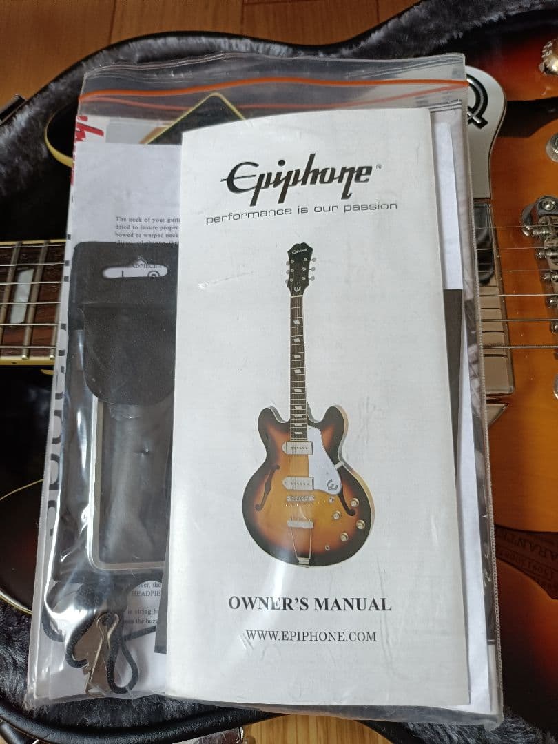 Epiphone カジノクーペ