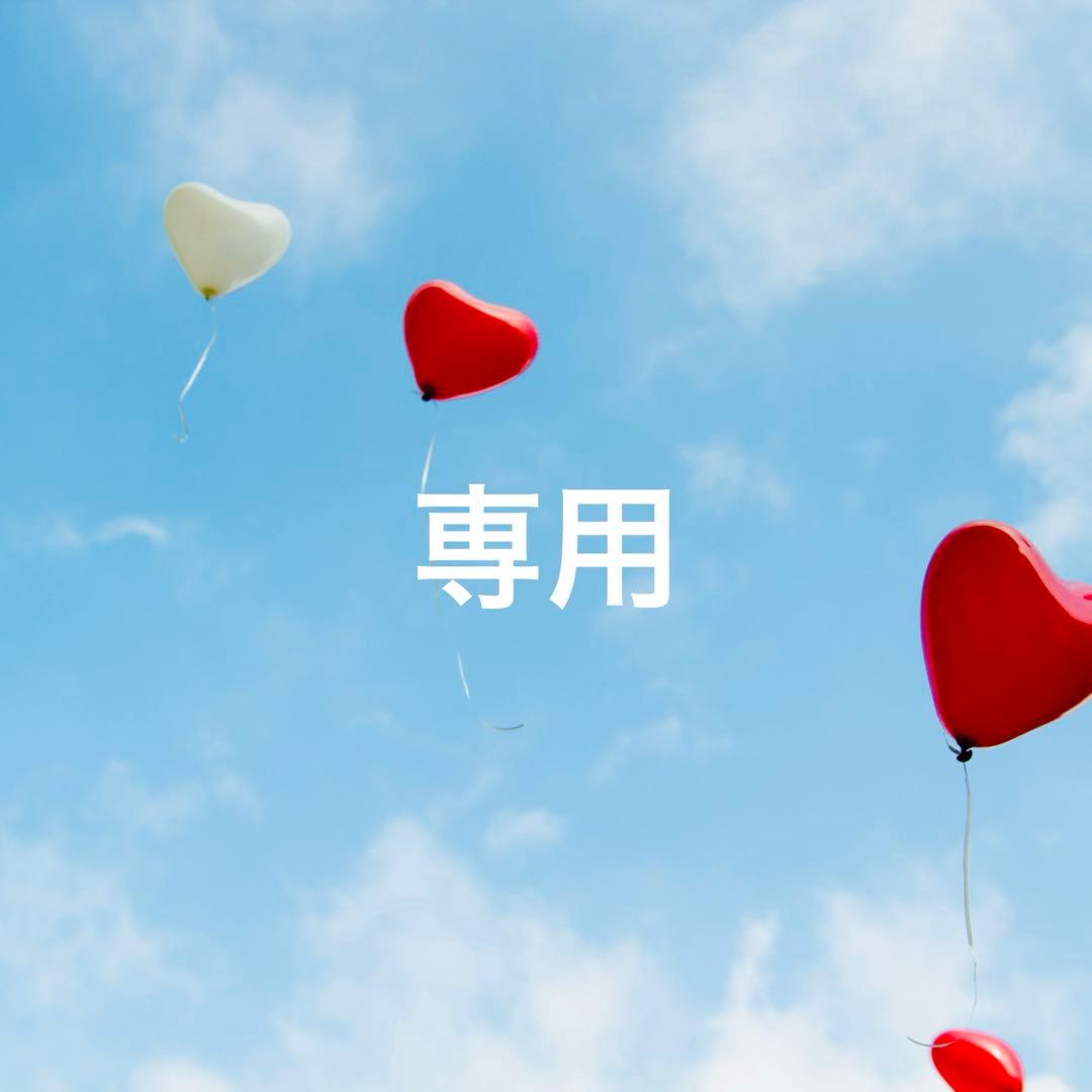 【Blackbee-jny様】ニナファーム モンコパン(犬猫)【3点】