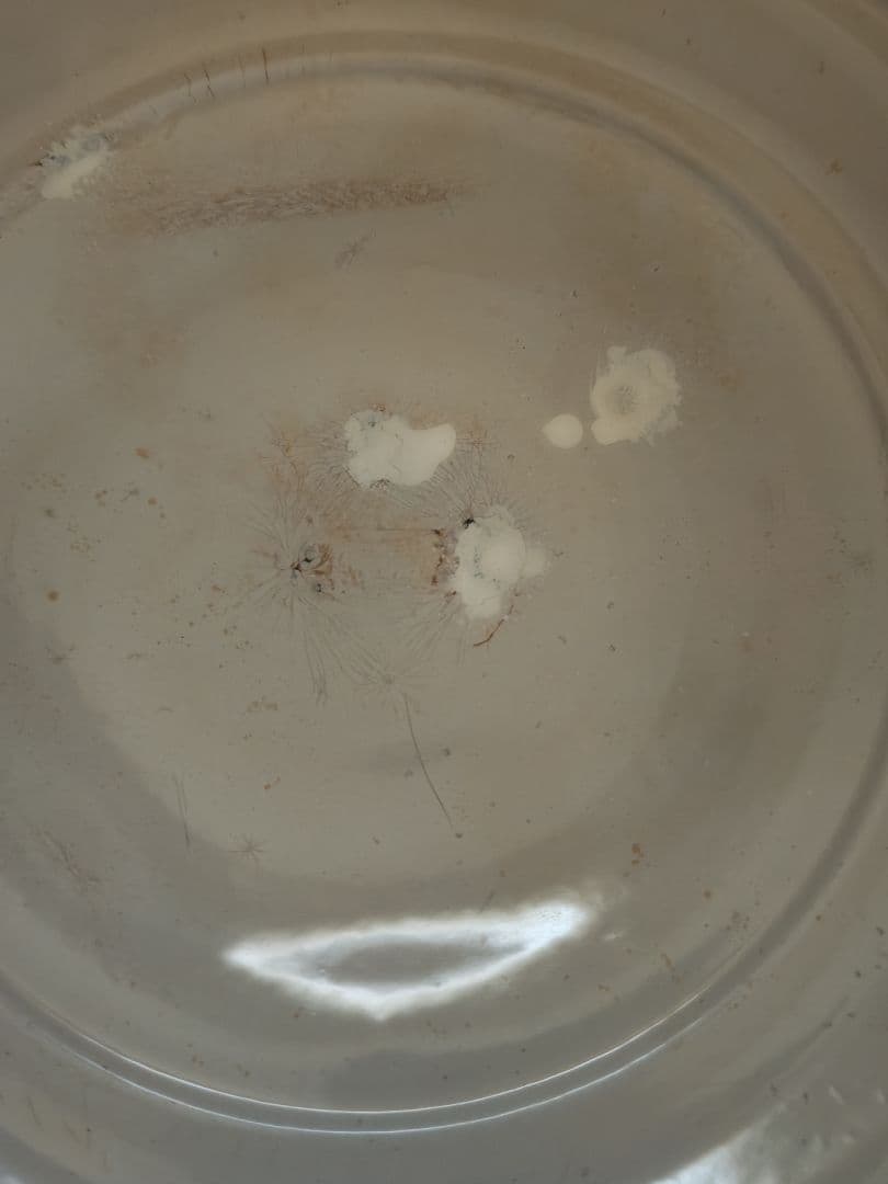 チャパティ　ケース