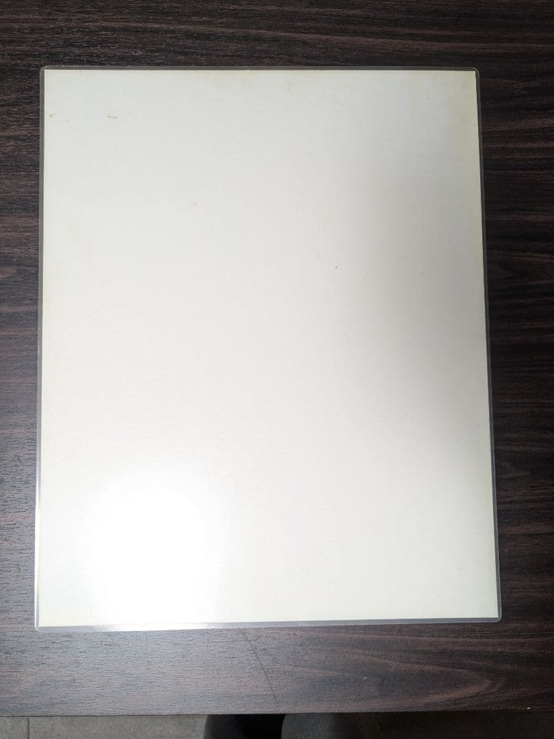 【希少】 ナイキ スカイジョーダン ラミネートポスター エアジョーダン