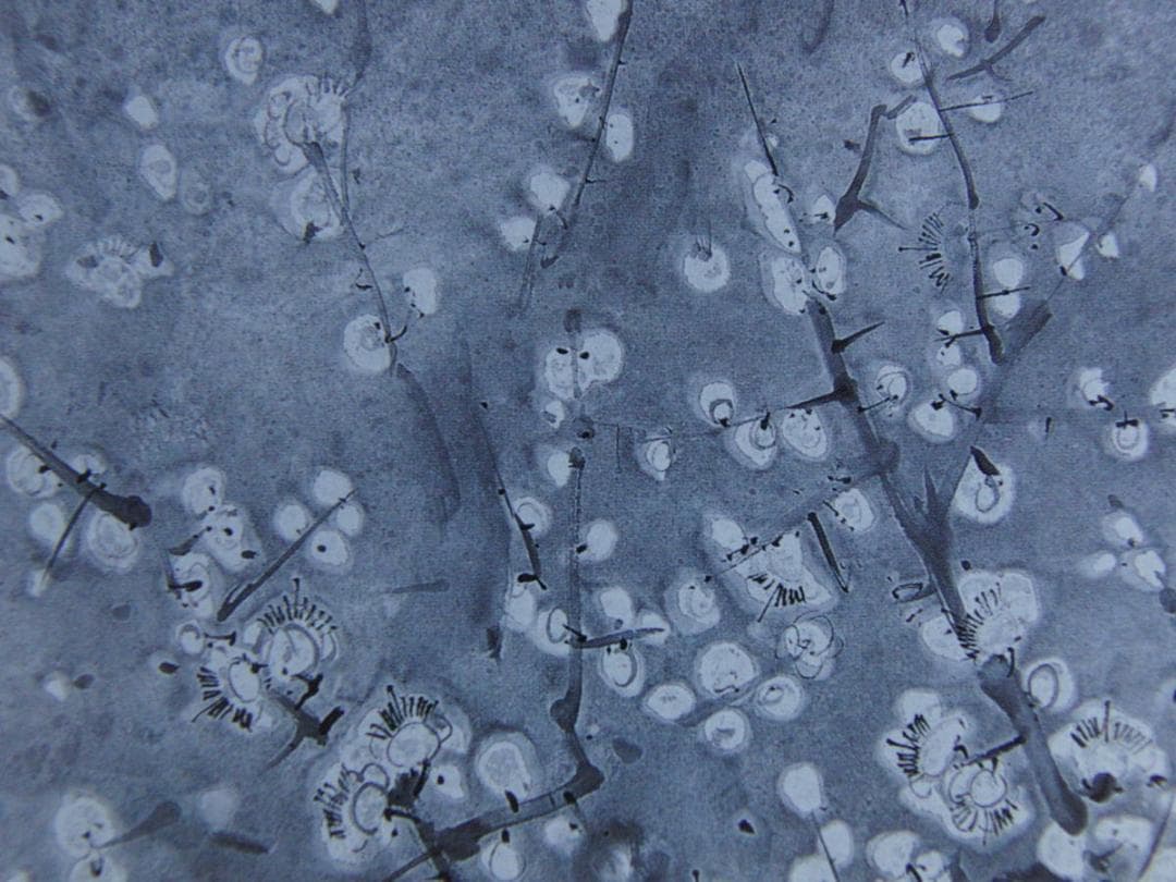 井出紀美恵、【酔香】、希少な額装用画集より、新品額装付