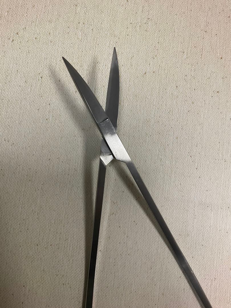 ADAプロシザース ヌード