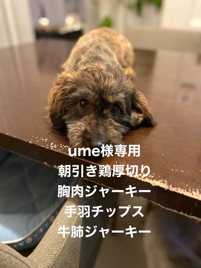 ume　胸肉、手羽チップス、牛肺