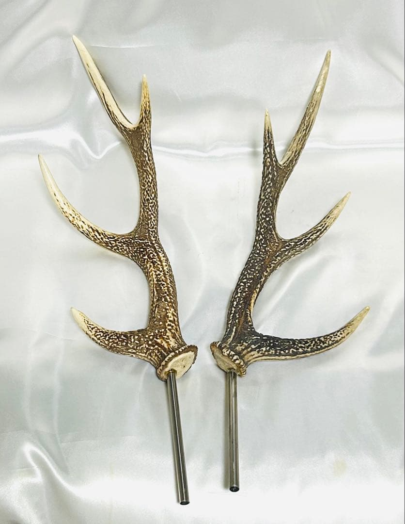 鹿の角　左右セット　テント タープ　希少！4角品（左右8ポイント）