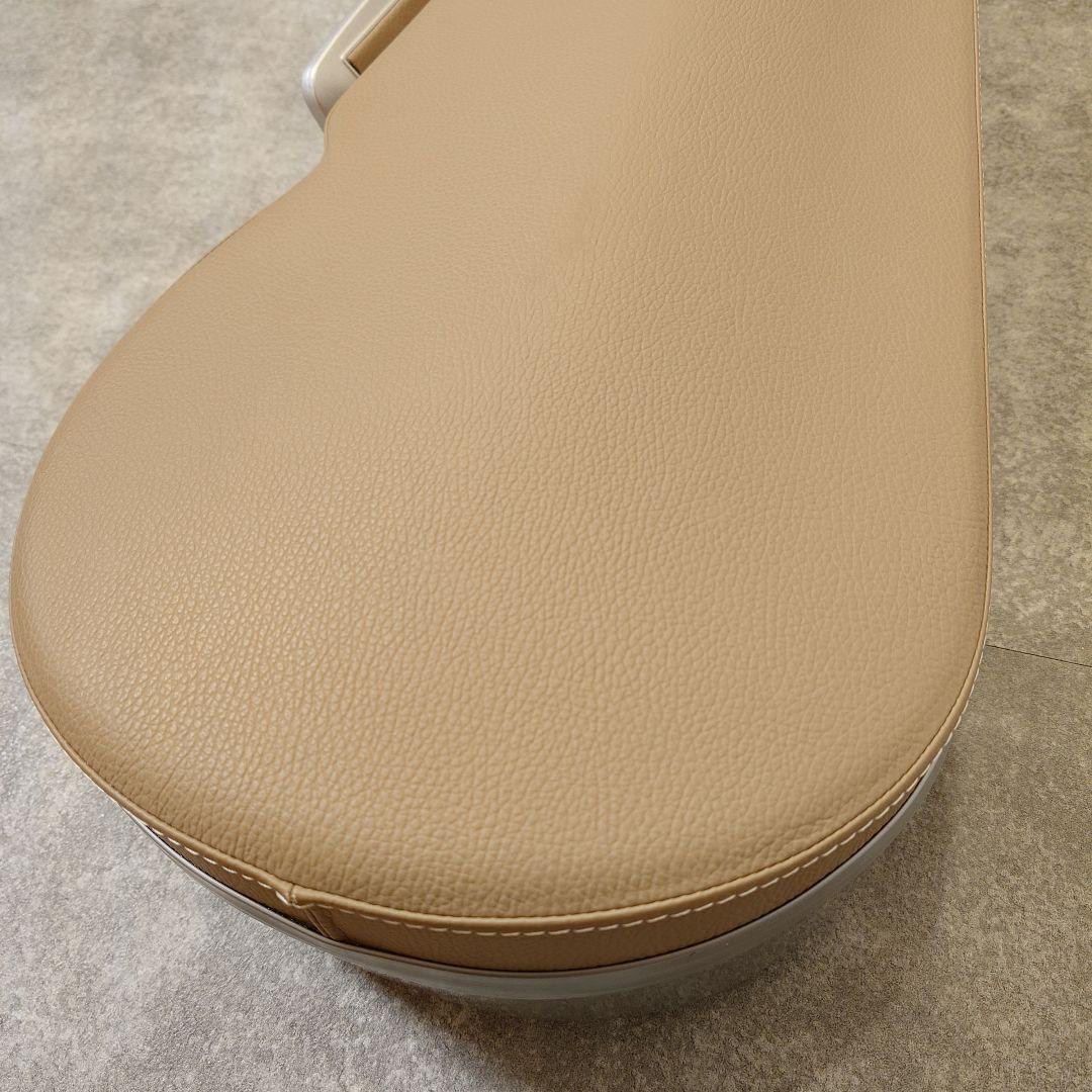 ビオラ本体と付属物一式とbamのケースのセット