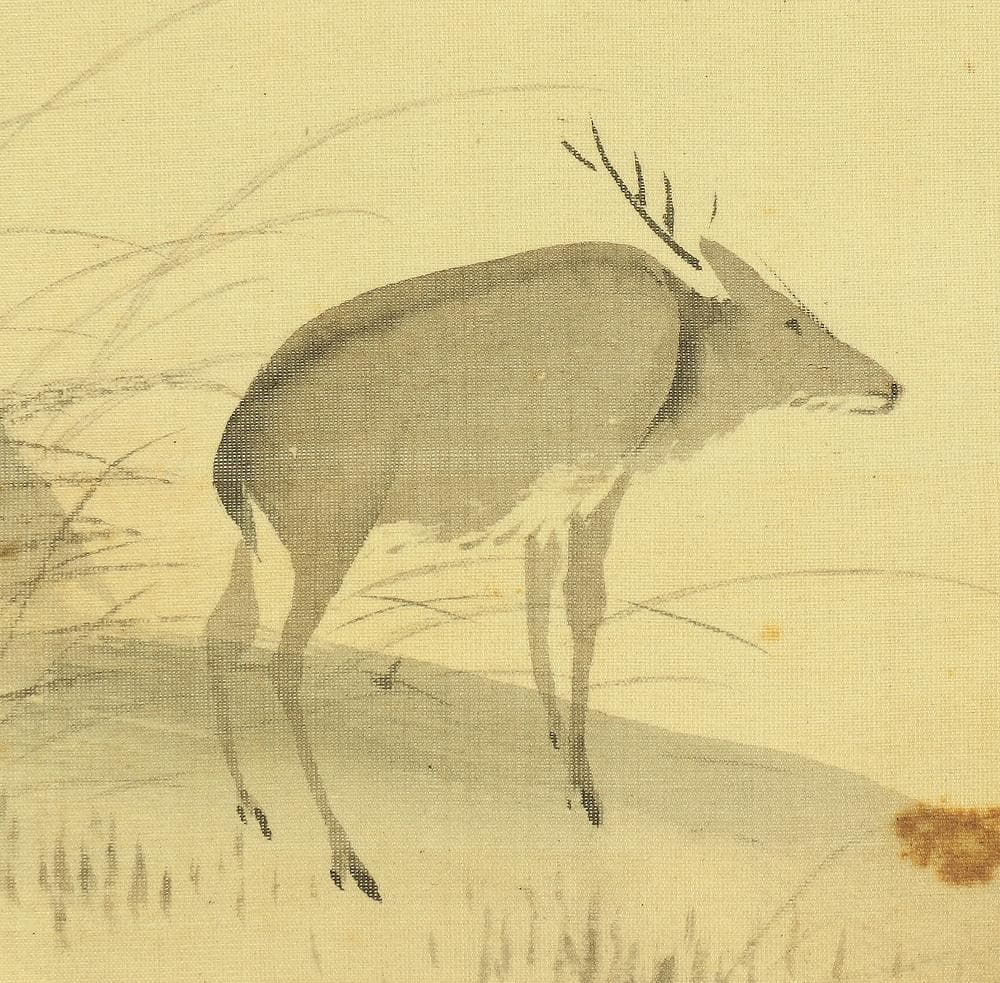 森寛斎 1814-1894 京都 森派 明治の応挙 鹿秋風景 掛軸 肉筆 絹本