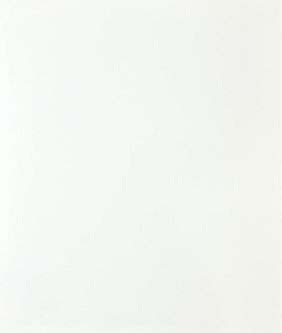 下田ひかり 死にたい天使#1 ジクレー 直筆サイン