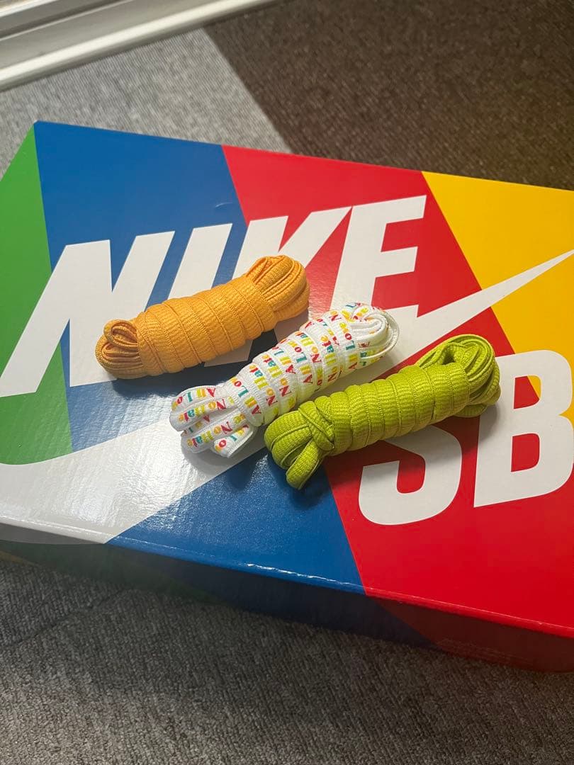 NIKE SB DUNK HIGH PRO QS FROSKATE 29㎝