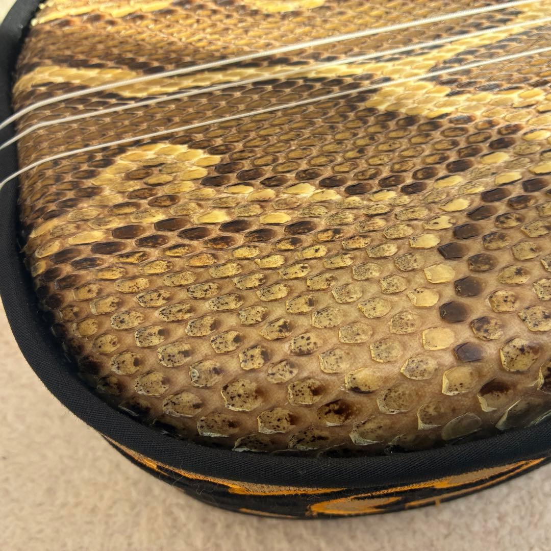 沖縄三線 蛇 脱皮 本革製