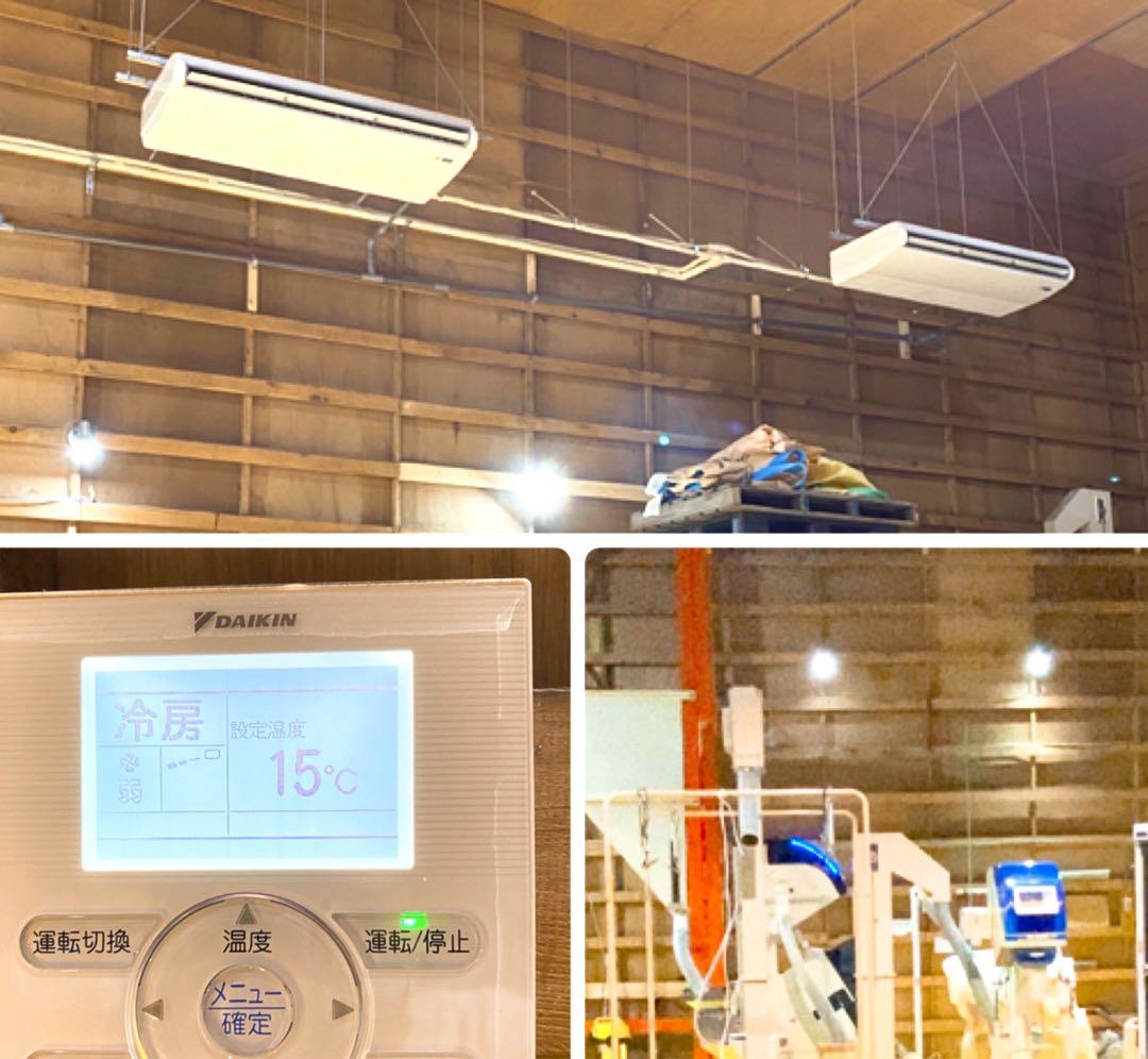 令和7年度産北海道産ゆめぴりか白米20kg