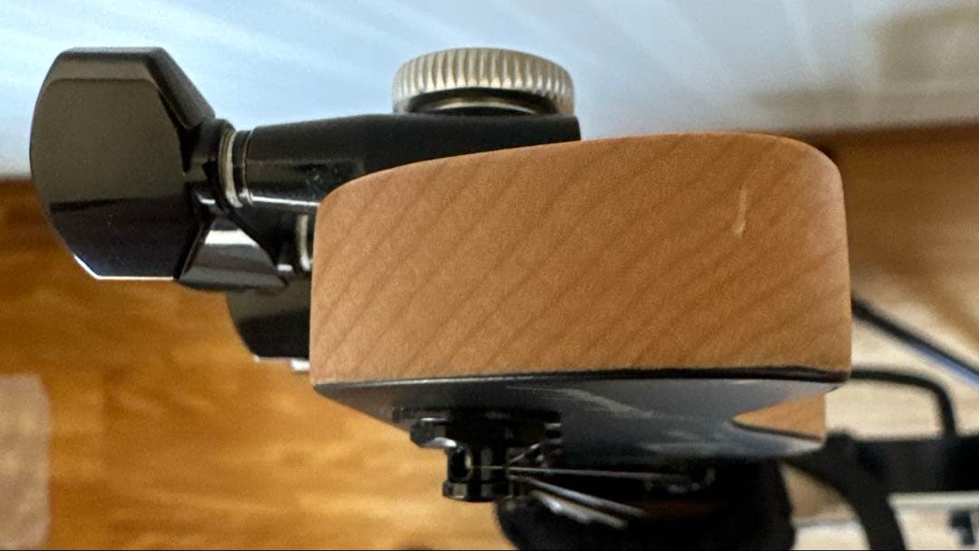 ギター FUJIGEN JIL-ASH-DE664-M OPB