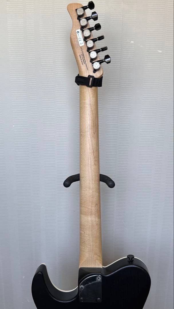 ギター FUJIGEN JIL-ASH-DE664-M OPB