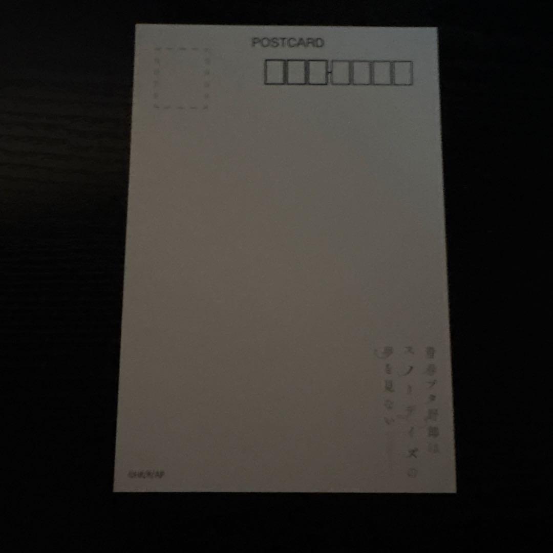 青ブタ 桜島麻衣 アクリルマスコット ポストカードアクリルフレームスタンド付き