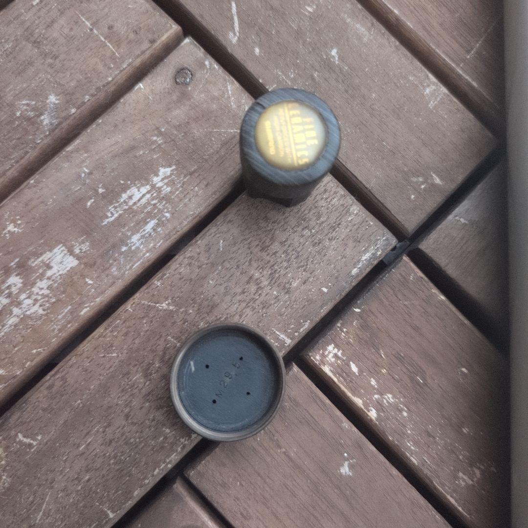 ダイワ 銀影大技中硬硬100 ＆ シマノAYU XL H/2.5 95-100