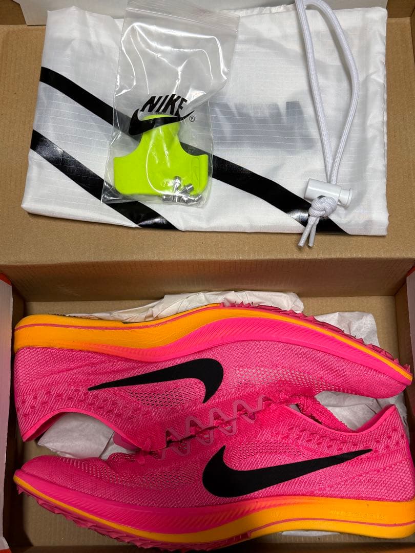 ナイキドラゴンフライ初期27cm