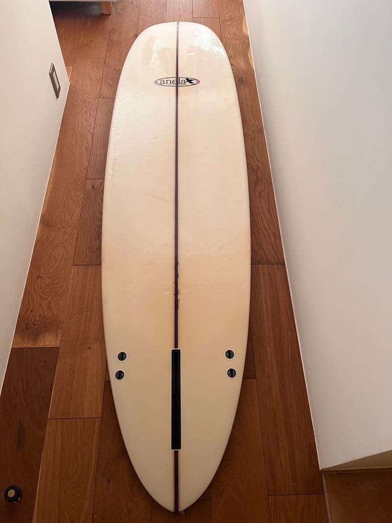 REI⭐︎anela ミッドレングス ファンボード 7.6