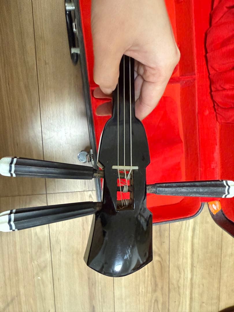 沖縄三線 弦楽器 和楽器 沖縄 ケース付き 三味線 民族楽器　現状品