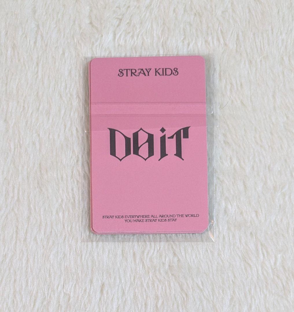 Stray Kids DO IT HOODIE トレカ スキズ パーカー