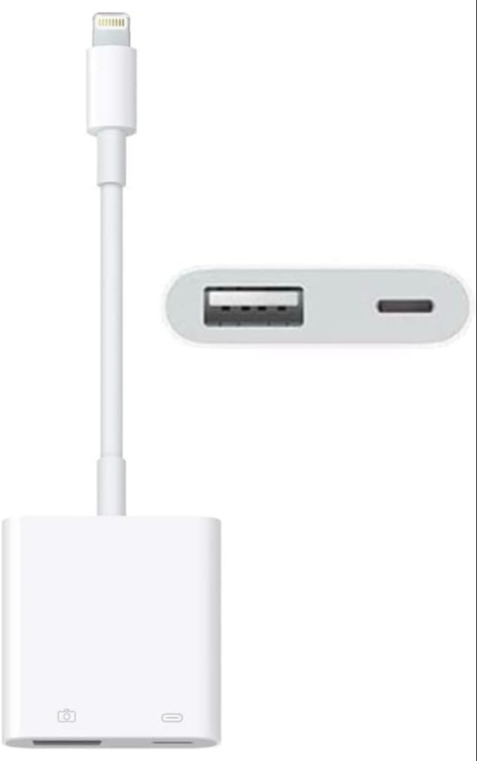 【雷龍‼️SALE実施中‼️※プロフ必読※】