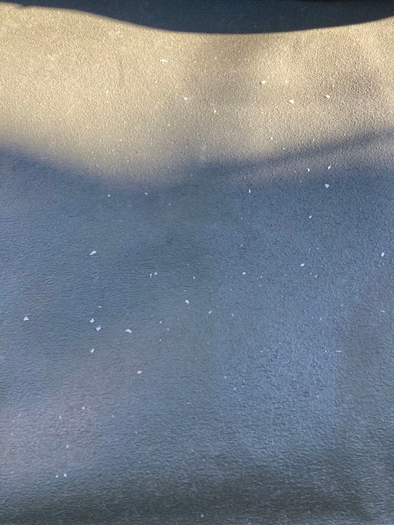 MSR パビリオン復刻版