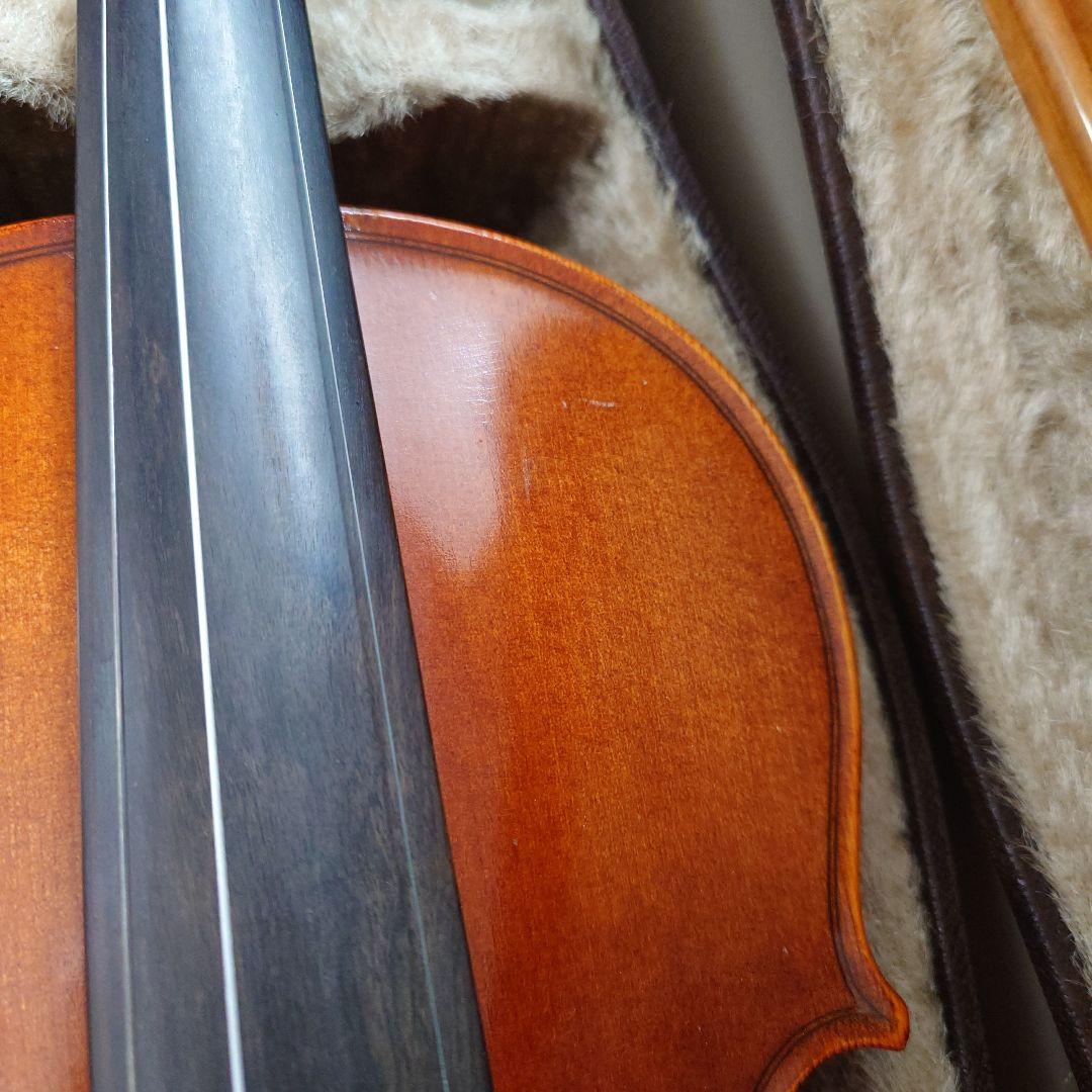 Sebastian Riedl V-4 バイオリン