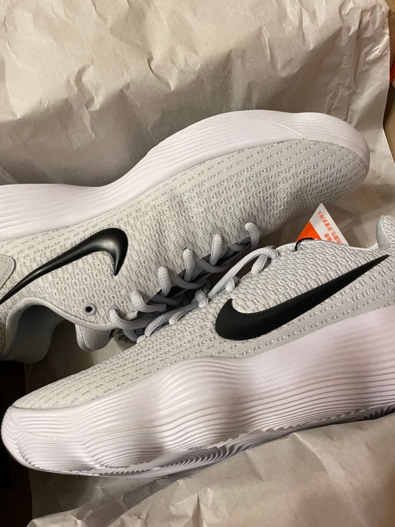 Nike ハイパーダンク2017low