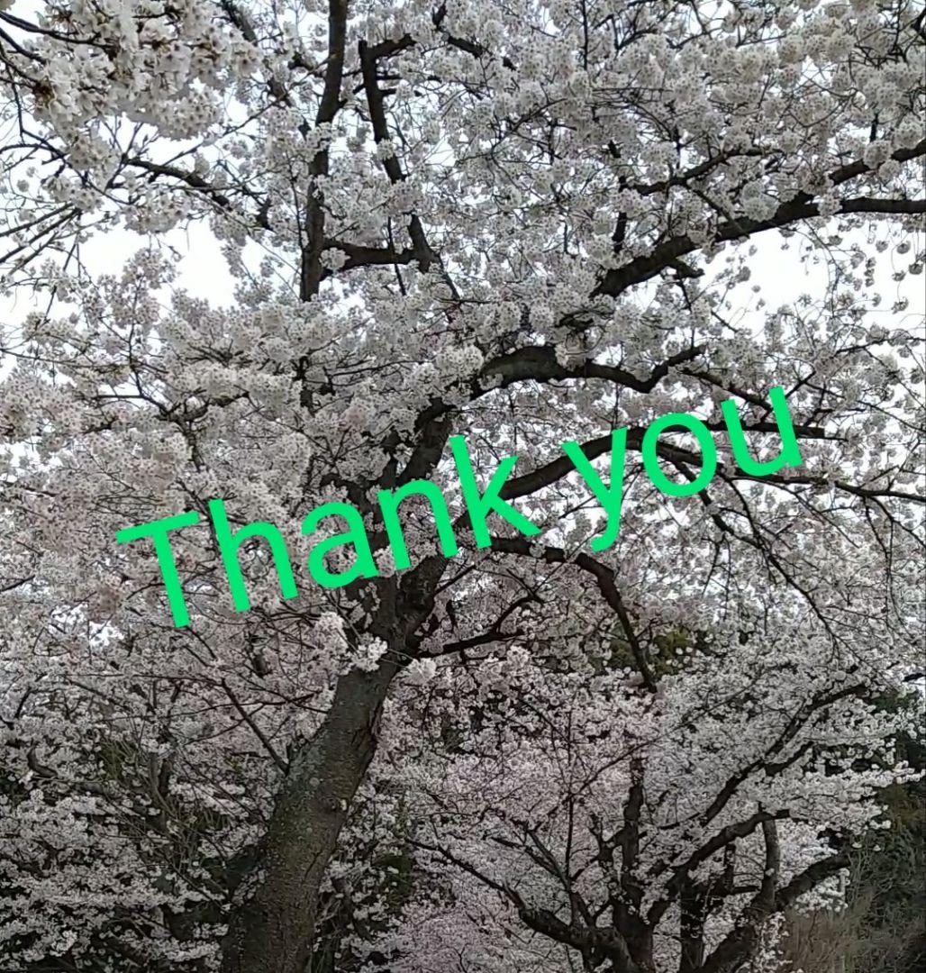 abc　ピクミン　チョコエッグ　36個