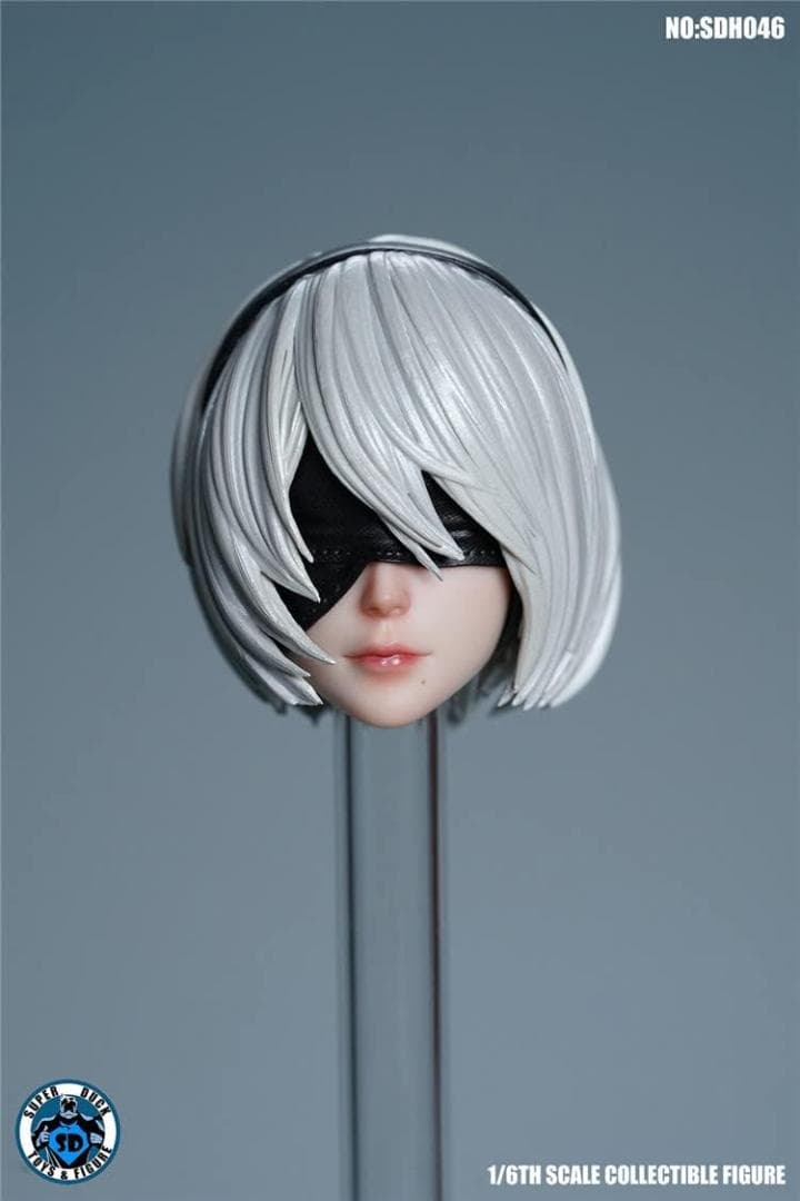 SUPER DUCK SET064-B S42A SDH046 ２B セット