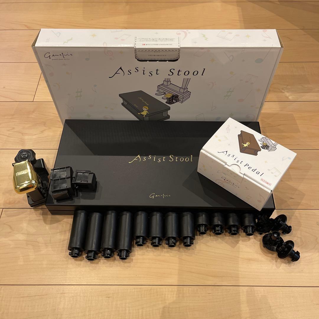 2025改良最新版 YOSHIZAWA Newアシスト２点セット