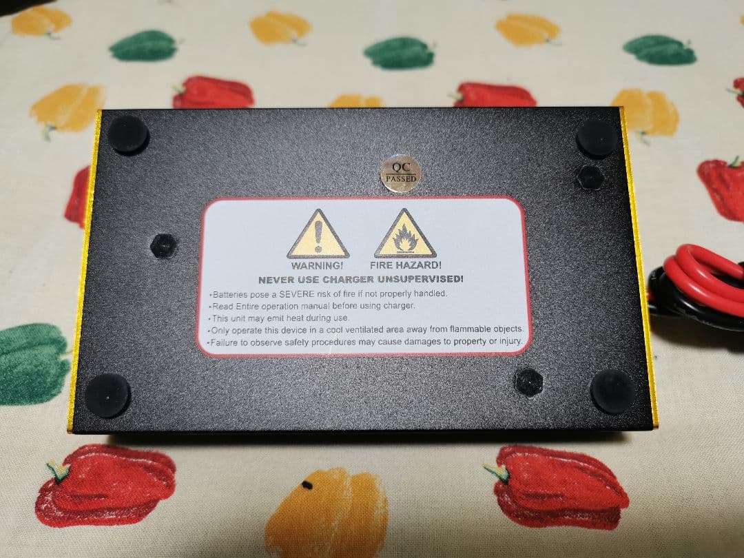 充電器　サンダー10A250W（アンチマター同等品）、ネオチャンプ12本付き