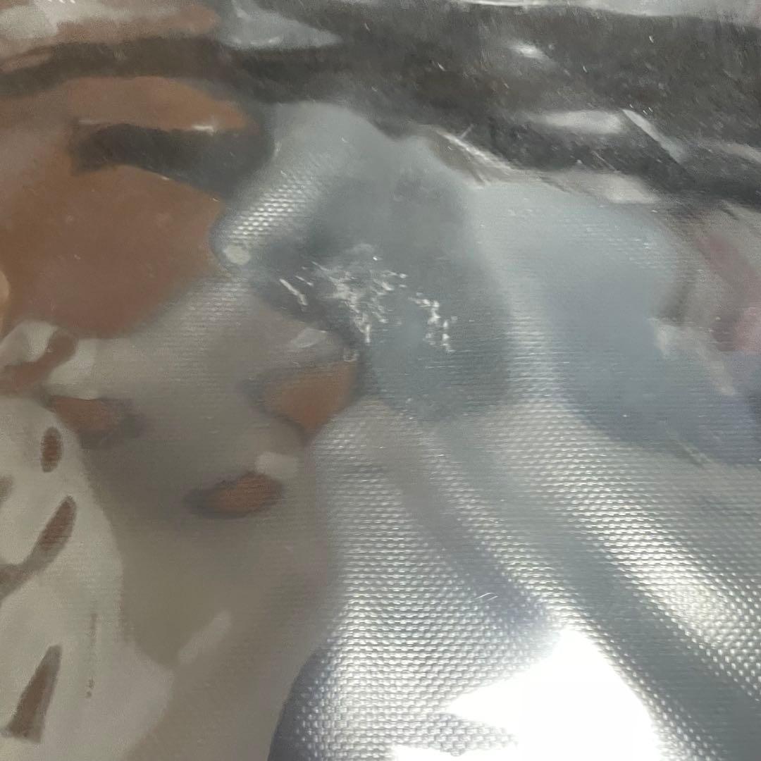 ORTLIEB（オルトリーブ）　防水メッセンジャーバック　貴重　デッドストック