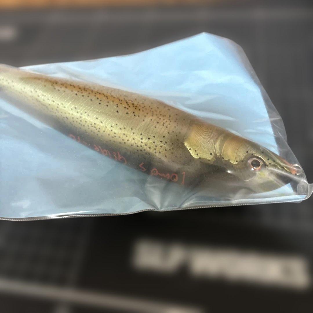 未使用　トモスルアー　ランチパッカー　10インチ 新品未使用です。